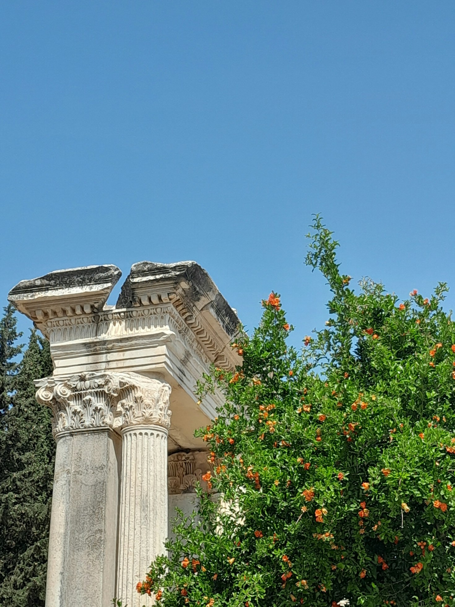 De geschiedenis van de Tempel van Apollo